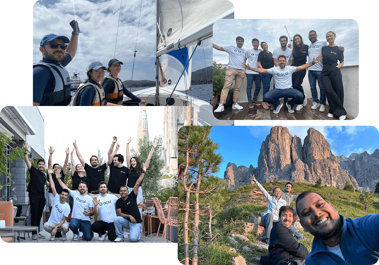 The Acai team